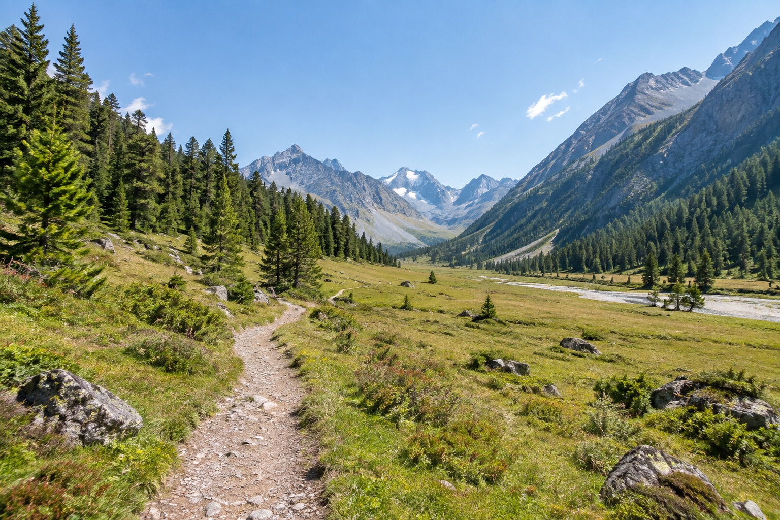 Wide gentle valley trail through Val Trupchun with open meadow and forest edge